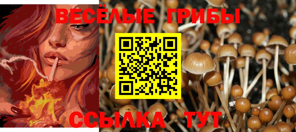 Пушкино  Галлюциногенные грибы прущие грибы  Галлюциногенные грибы прущие грибы  Вход с VPN 