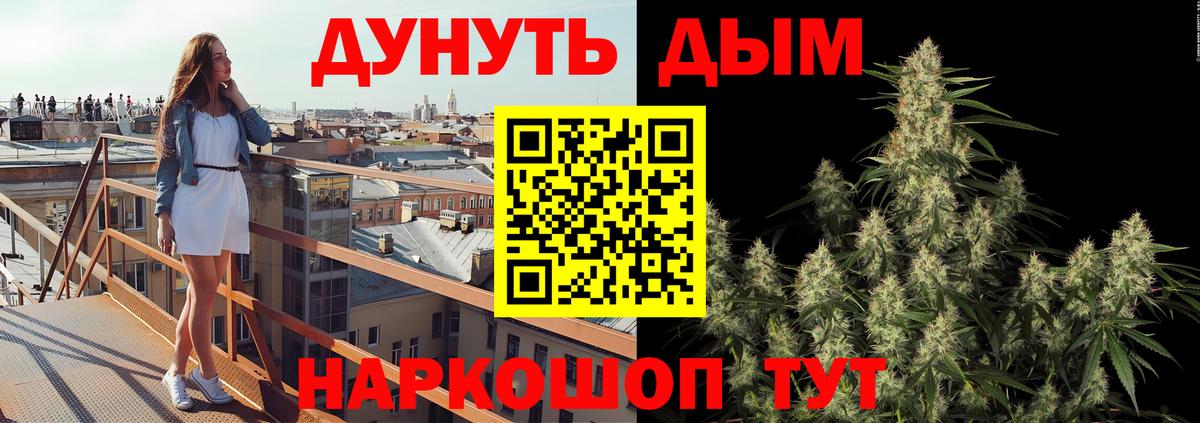 Бошки Шишки семена  Каннабис Bruce Banner  Бошки Шишки марихуана  Каннабис SATIVA & INDICA  Пушкино  Вход с VPN 