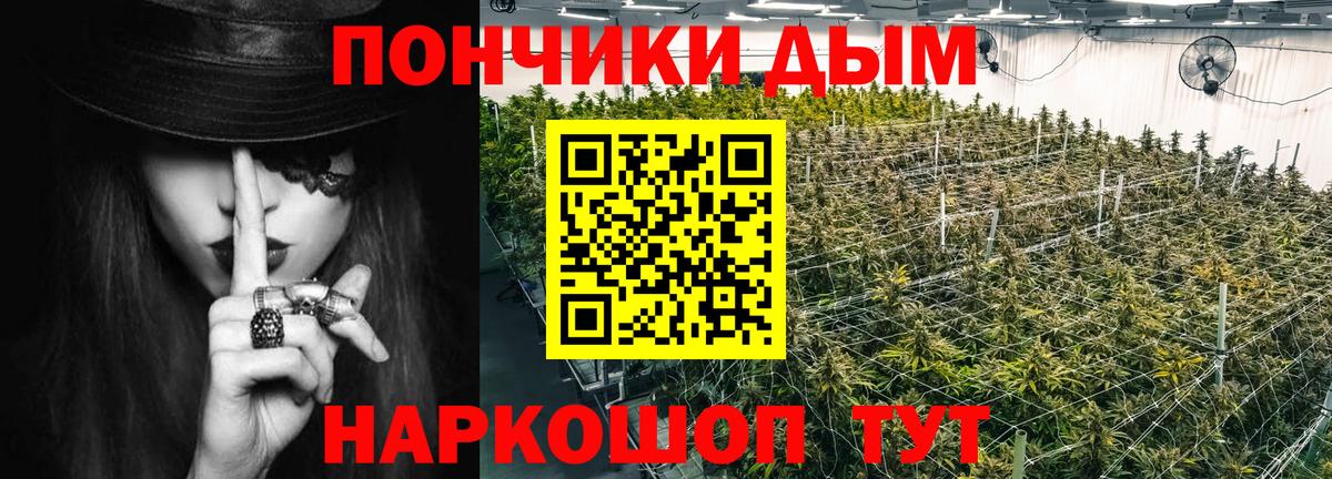 Конопля Bruce Banner Пушкино